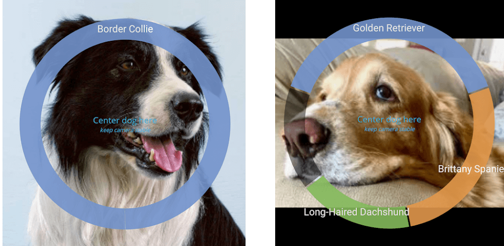 Cover Image of Identify Dog Breeds Pro v28 APK (Full Version)