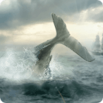 Cover Image of Moby Dick: Wild Hunting v1.3.6 MOD APK (Unlimited Money, Menu)